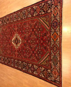 Hamadan Rug