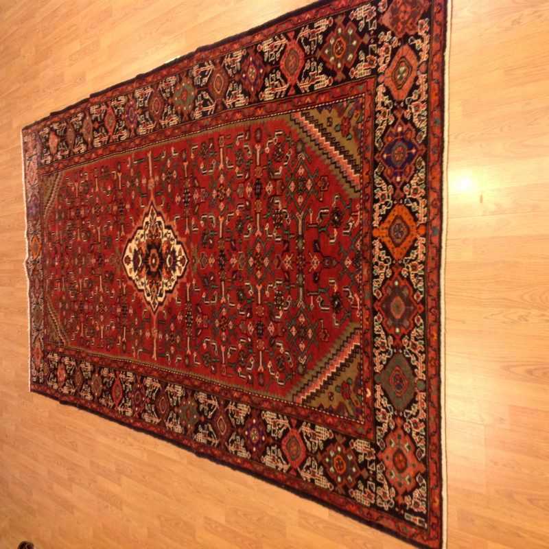 Hamadan Rug